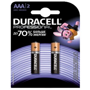 Батарейка Duracell Professional ААА/LR03 (фото modal nav 1)