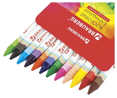 BRAUBERG Восковые карандаши утолщенные Академия 12 цветов (фото modal 4)