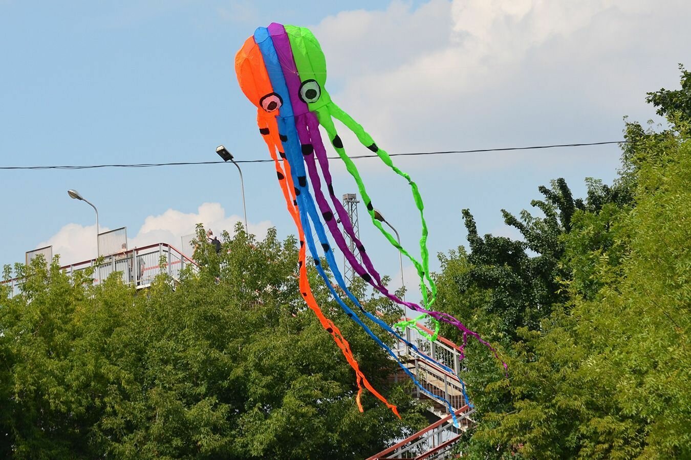 Воздушный змей Веселый ветер Цветной Кальмар 8-и (фото modal 6)