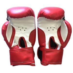 Боксерские перчатки Realsport ES-06 (фото modal nav 2)