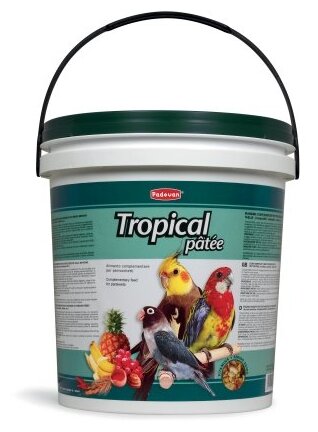 Padovan корм Tropical Patee с фруктами для средних попугаев (фото modal 2)