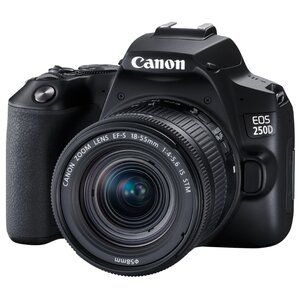 Фотоаппарат Canon EOS 250D Kit (фото modal nav 1)
