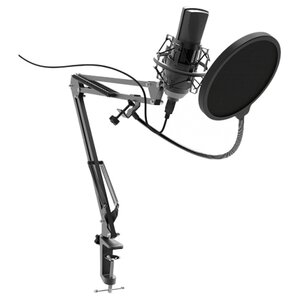 Микрофон Ritmix RDM-180 (фото modal nav 1)