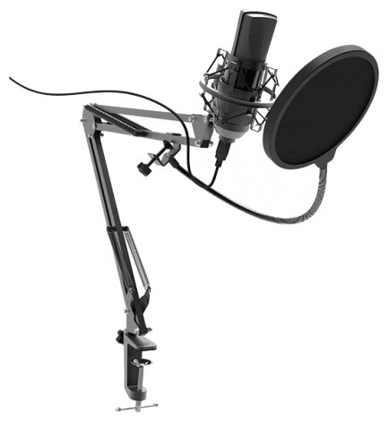 Микрофон Ritmix RDM-180 (фото modal 1)