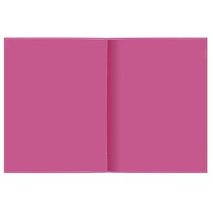 Феникс Дневник школьный Фламинго 48567 (фото modal nav 2)