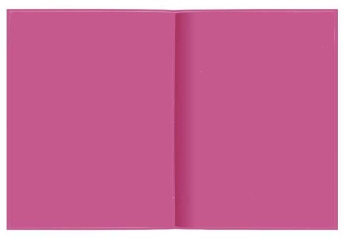 Феникс Дневник школьный Фламинго 48567 (фото modal 2)