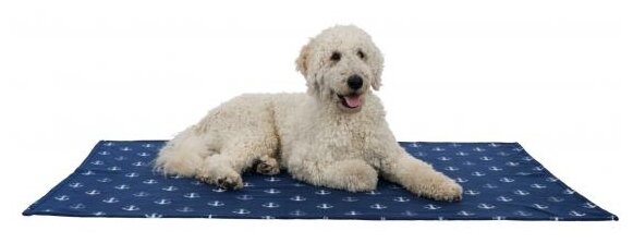 Подстилка-плед для собак TRIXIE Beany Blanket (37191/37192/37193/37195/37199) 100х70 см (фото modal 8)
