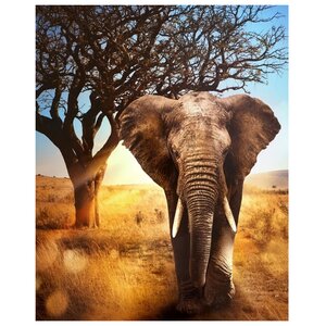 Алмазная живопись Набор алмазной вышивки Африканский слон (АЖ-1783) 40х50 см (фото modal nav 2)