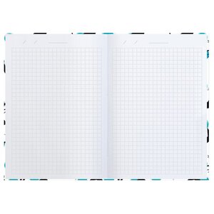 Записная книжка Феникс+ Notebook (47860), 48 листов (фото modal nav 2)