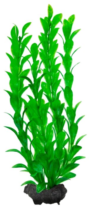 Искусственное растение Tetra Hygrophila M (фото modal 1)