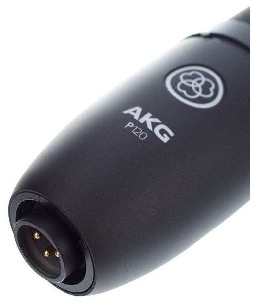 Микрофон AKG P120 (фото modal 6)