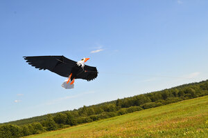 Воздушный змей Веселый ветер Белоголовый Орлан (фото modal nav 3)