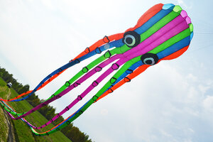 Воздушный змей Веселый ветер Осьминог (фото modal nav 2)