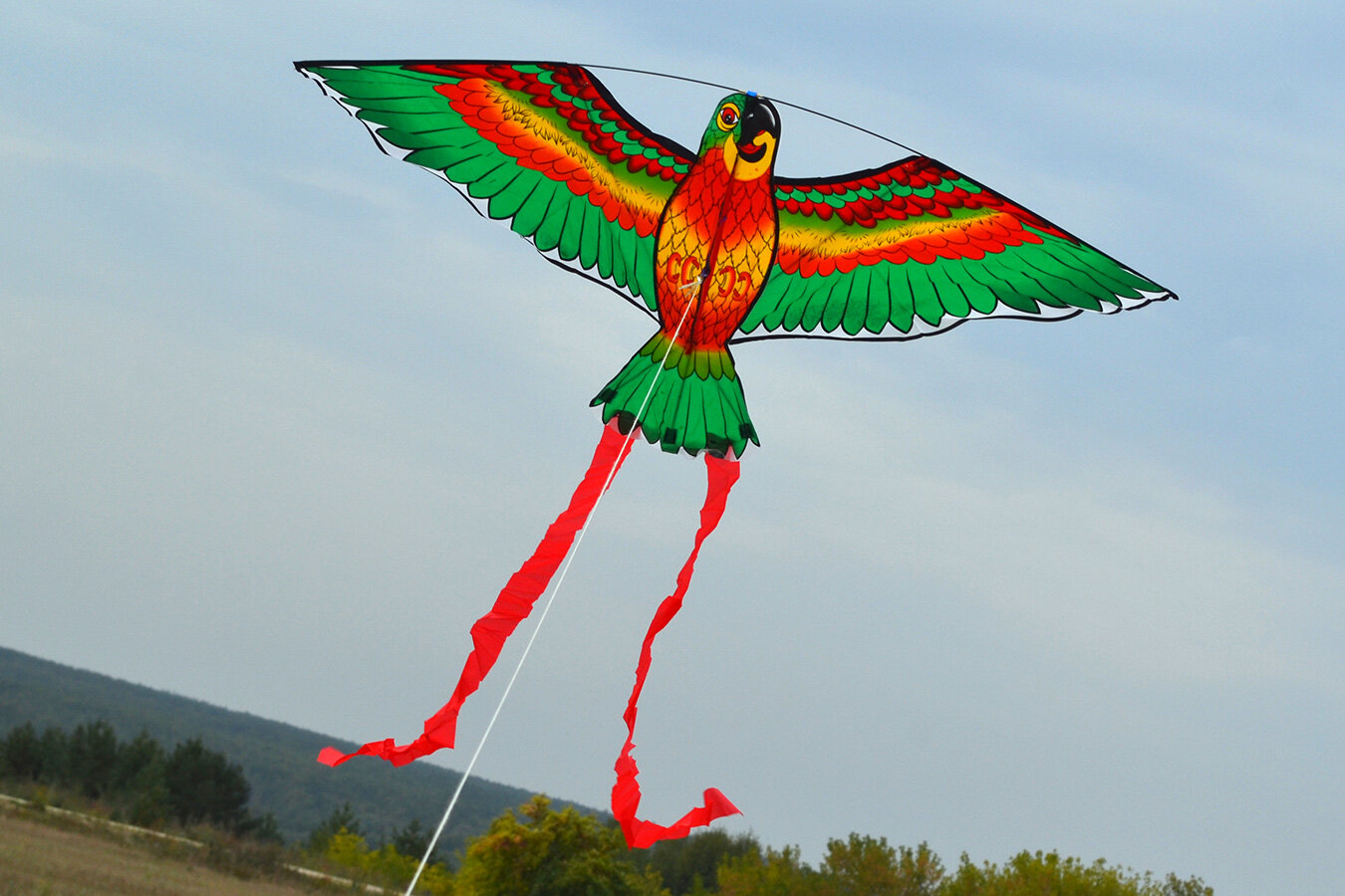 Воздушный змей Веселый ветер Попугай (фото modal 4)