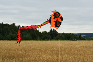 Воздушный змей Веселый ветер (фото modal nav 4)