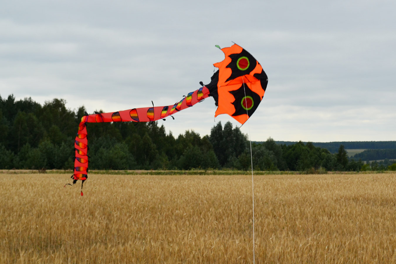 Воздушный змей Веселый ветер (фото modal 4)