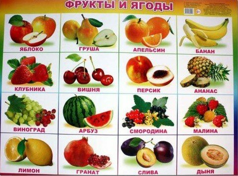Плакат РУЗ Ко Фрукты и ягоды (фото modal 1)