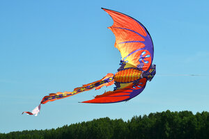 Воздушный змей Веселый ветер Огненная Виверна (фото modal nav 3)