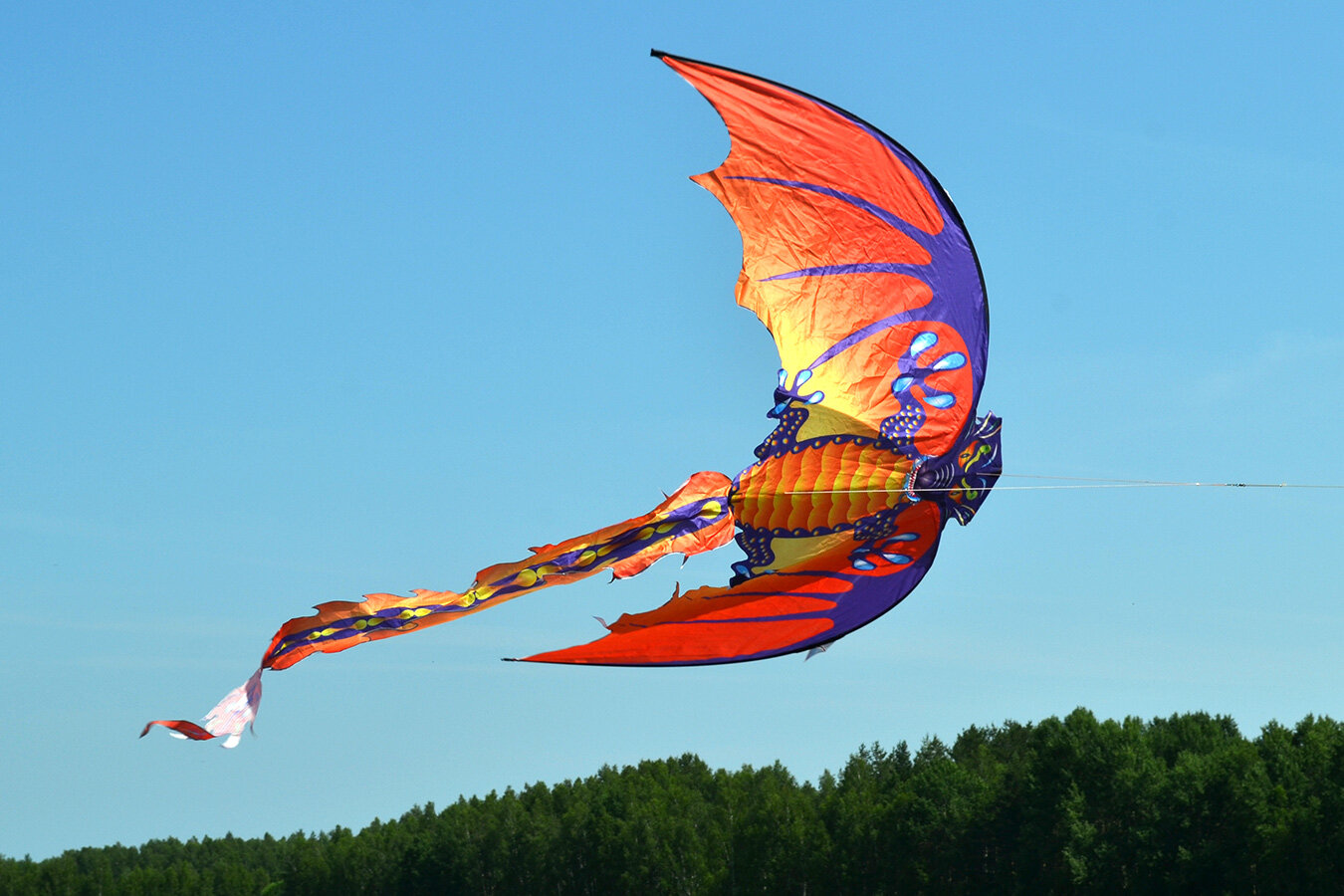 Воздушный змей Веселый ветер Огненная Виверна (фото modal 3)
