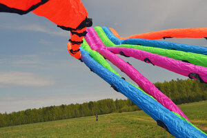 Воздушный змей Веселый ветер Осьминог (фото modal nav 5)