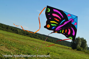 Воздушный змей Веселый ветер Бабочка (фото modal nav 6)