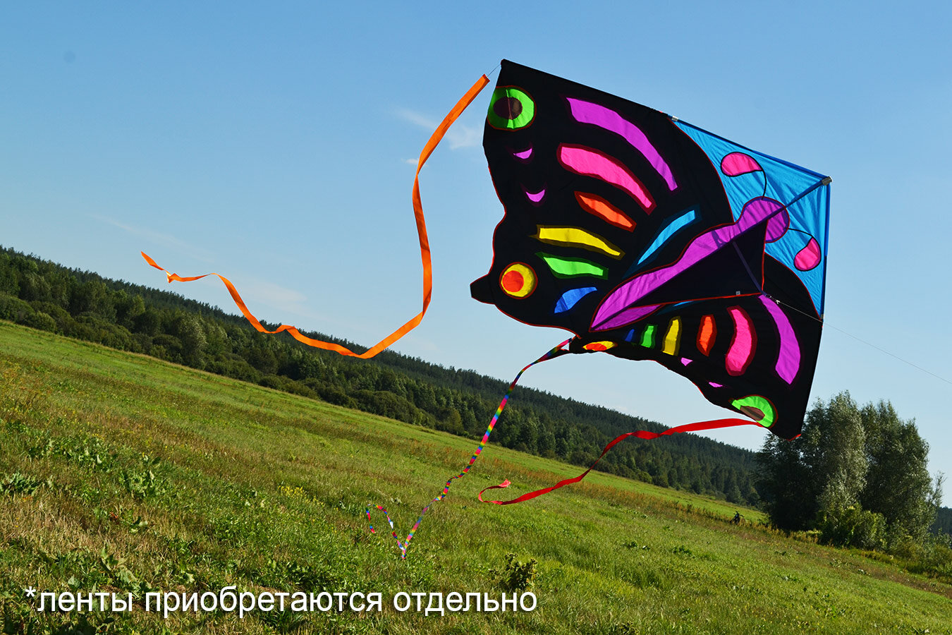 Воздушный змей Веселый ветер Бабочка (фото modal 6)