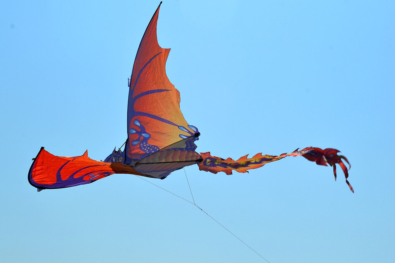 Воздушный змей Веселый ветер Огненная Виверна (фото modal 5)