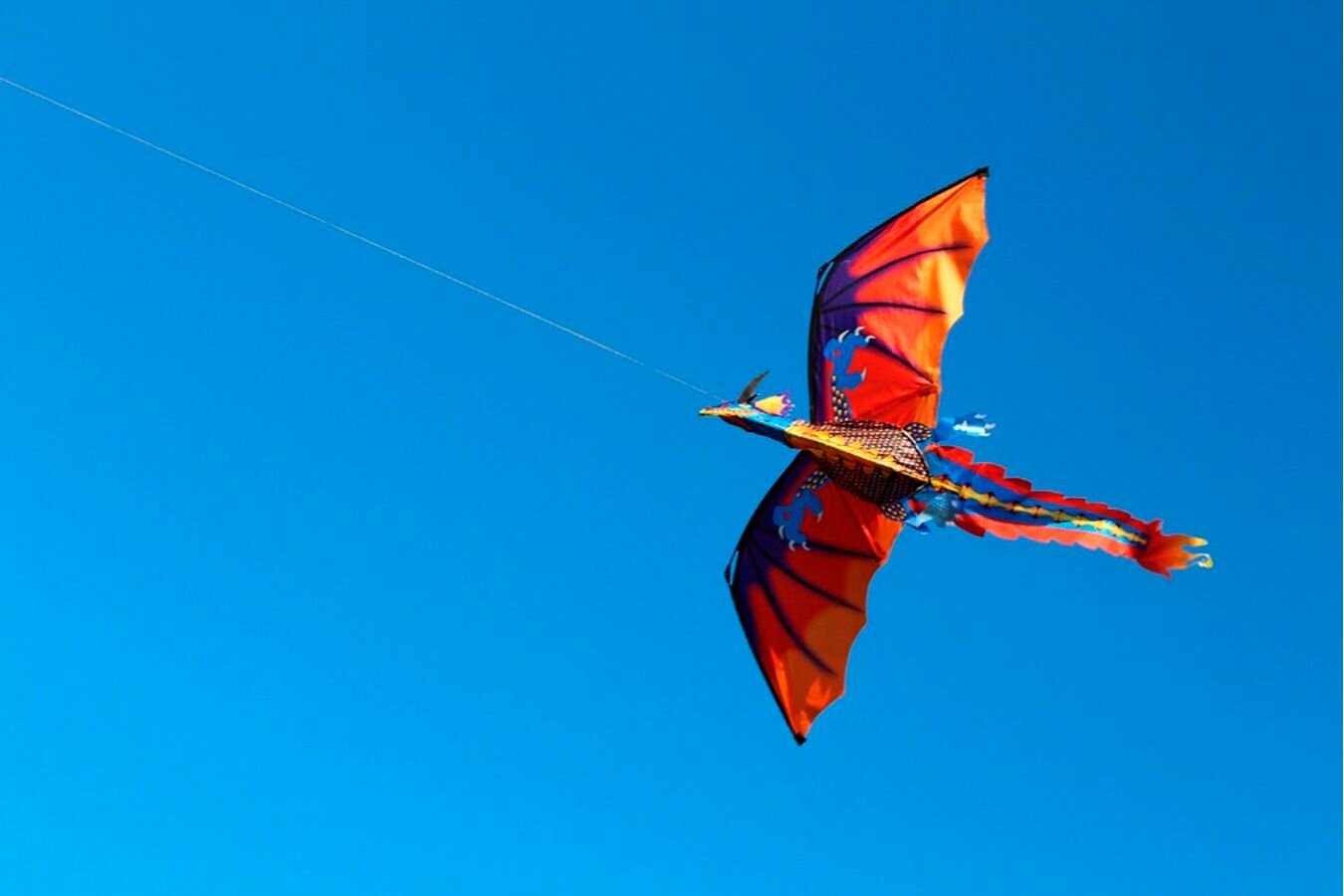 Воздушный змей Веселый ветер Птеродактиль (фото modal 2)