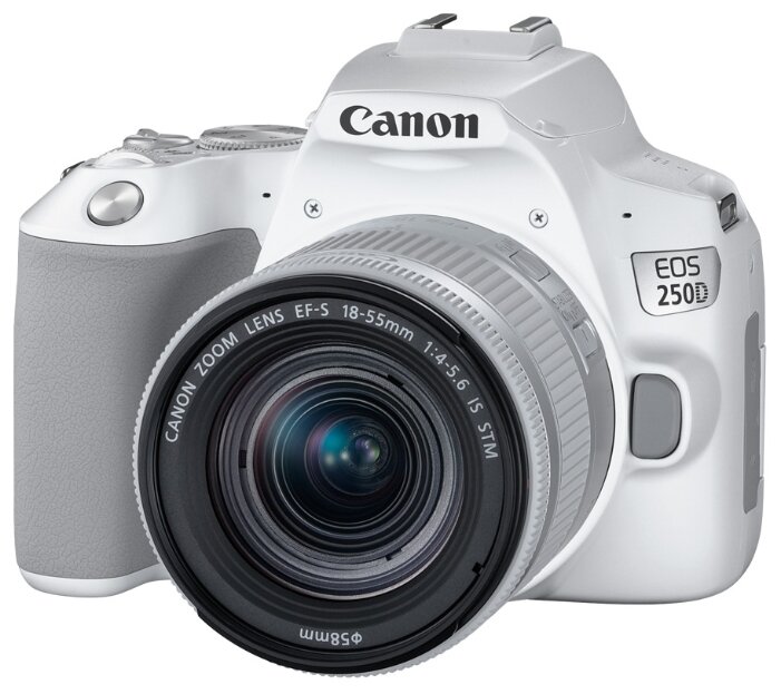Фотоаппарат Canon EOS 250D Kit (фото modal 14)
