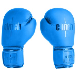 Боксерские перчатки Clinch Mist (фото modal nav 13)