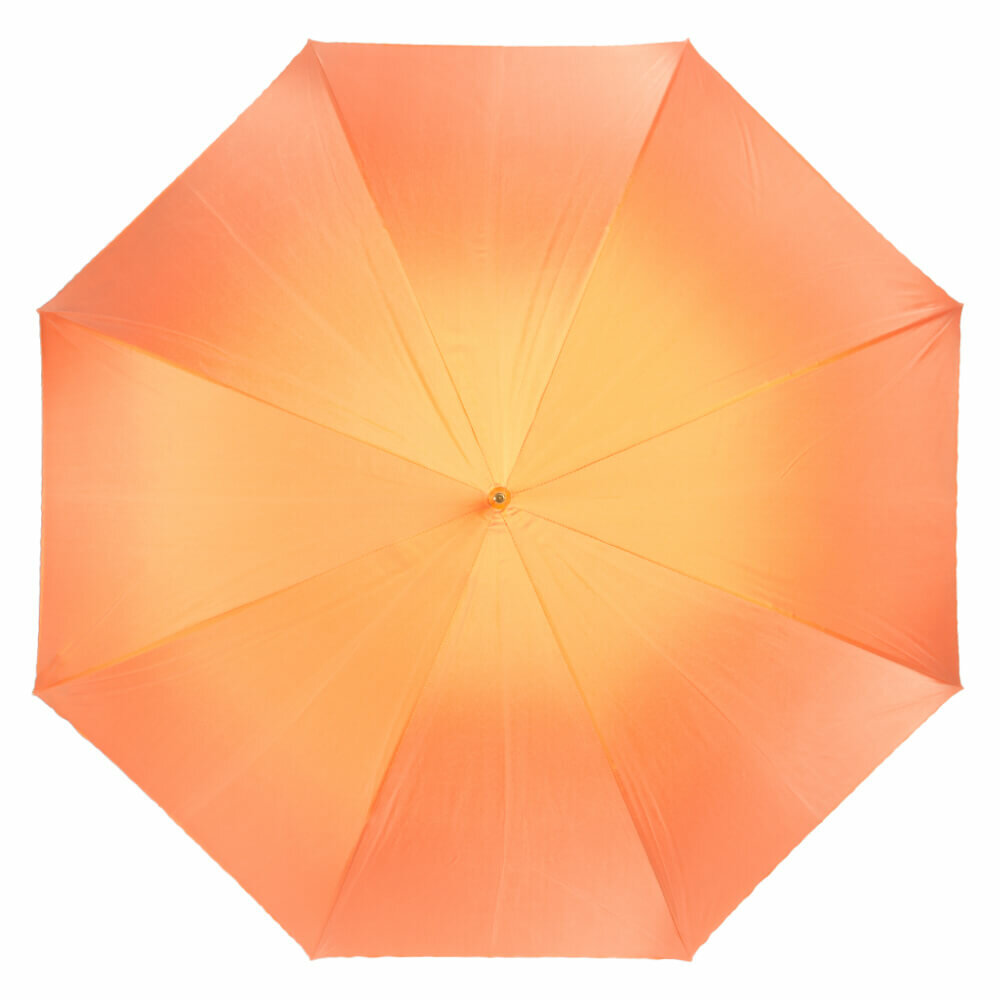 Зонт-трость Pasotti (фото modal 2)