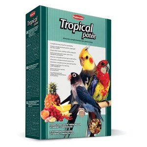 Padovan корм Tropical Patee с фруктами для средних попугаев (фото modal nav 1)