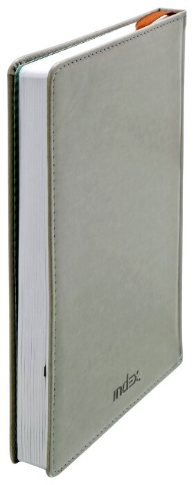 Ежедневник Index Avanti недатированный, искусственная кожа, А5, 168 листов (фото modal 13)