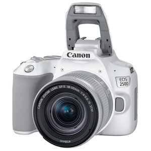 Фотоаппарат Canon EOS 250D Kit (фото modal nav 17)
