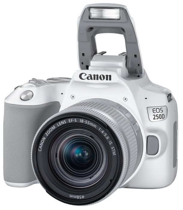 Фотоаппарат Canon EOS 250D Kit (фото modal 17)