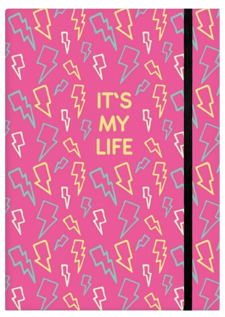 Записная книжка Феникс+ Это моя жизнь (47851), 96 листов (фото modal 1)