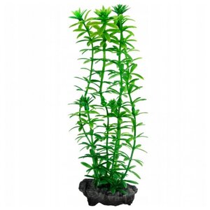 Искусственное растение Tetra Anacharis S (фото modal nav 1)