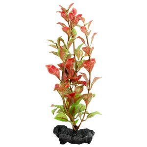Искусственное растение Tetra Red Ludwigia S (фото modal nav 1)