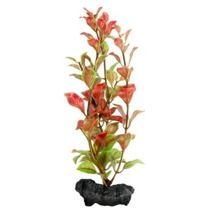 Искусственное растение Tetra Red Ludwigia M (фото modal nav 1)