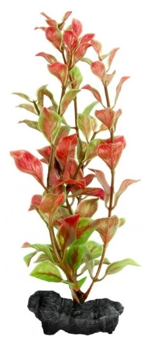 Искусственное растение Tetra Red Ludwigia M (фото modal 1)