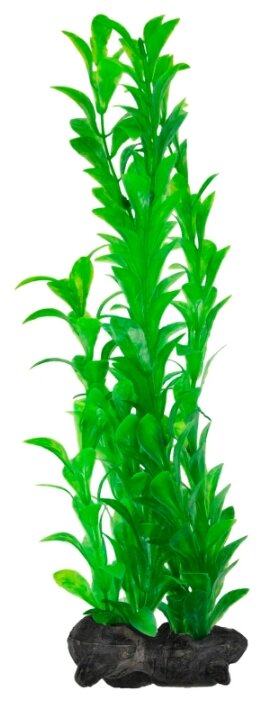 Искусственное растение Tetra Hygrophila L (фото modal 1)