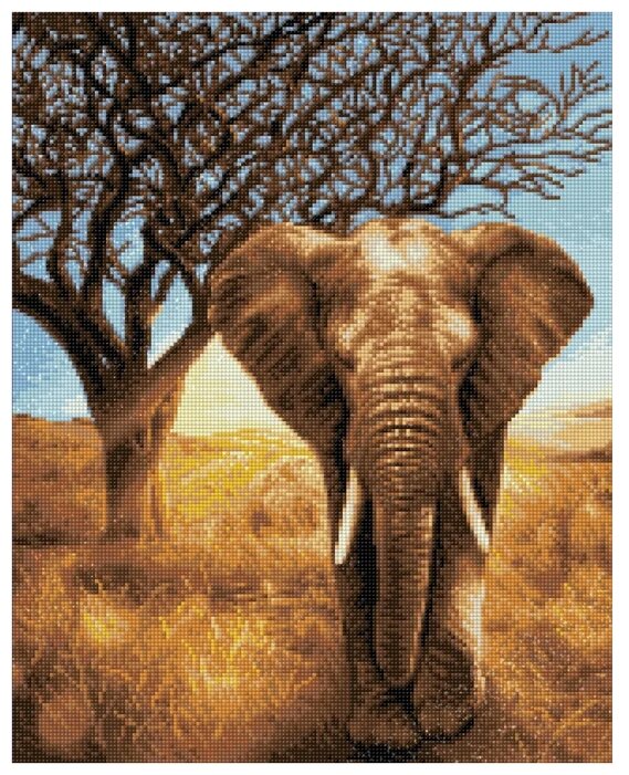 Алмазная живопись Набор алмазной вышивки Африканский слон (АЖ-1783) 40х50 см (фото modal 1)