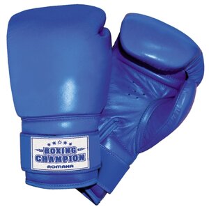 Боксерские перчатки ROMANA ДМФ-МК-01.70 (фото modal nav 1)