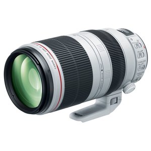 Объектив Canon EF 100-400mm f/4.5-5.6L IS II USM (фото modal nav 1)