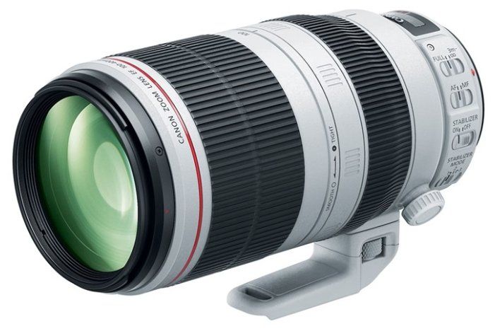 Объектив Canon EF 100-400mm f/4.5-5.6L IS II USM (фото modal 1)