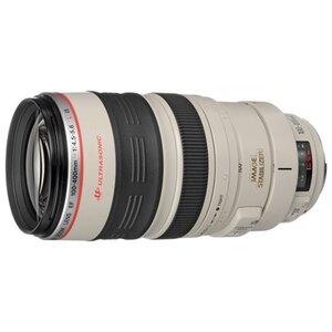 Объектив Canon EF 100-400mm f/4.5-5.6L IS USM (фото modal nav 1)