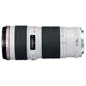 Объектив Canon EF 70-200mm f/4L USM (фото modal nav 1)