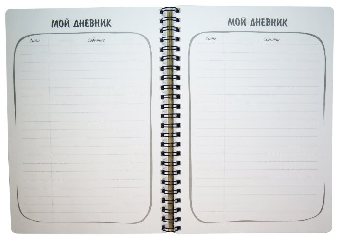 Ежедневник Фолиант Мой дневник ЕШ-12 недатированный (фото modal 4)