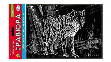 Гравюра Рыжий кот Волк, в пакете с ручкой (Г-2624) серебристая основа (фото modal 1)