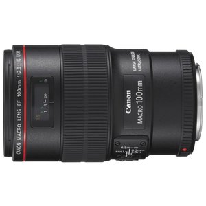 Объектив Canon EF 100mm f/2.8L Macro IS USM (фото modal nav 1)